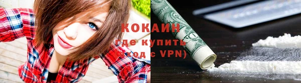 гашик Ступино