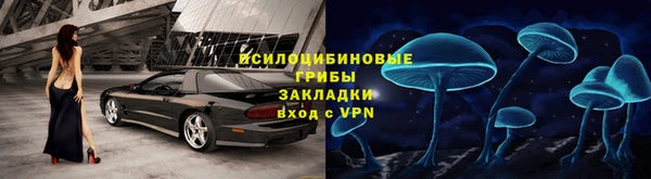 крисы Строитель