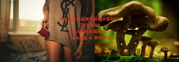 шишки Беломорск