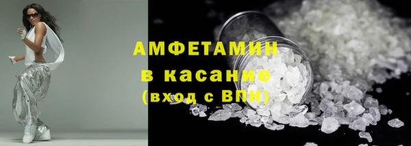шишки Беломорск