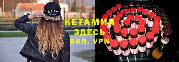 шишки Беломорск