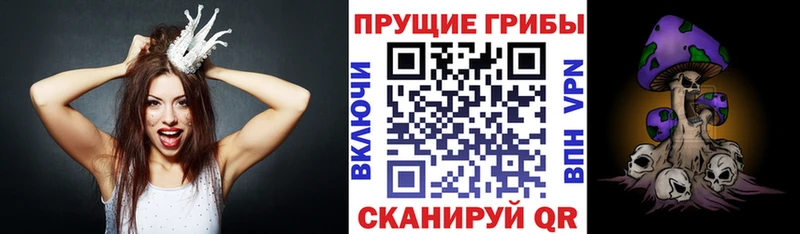 Псилоцибиновые грибы Psilocybine cubensis  где купить наркотик  Шумерля 